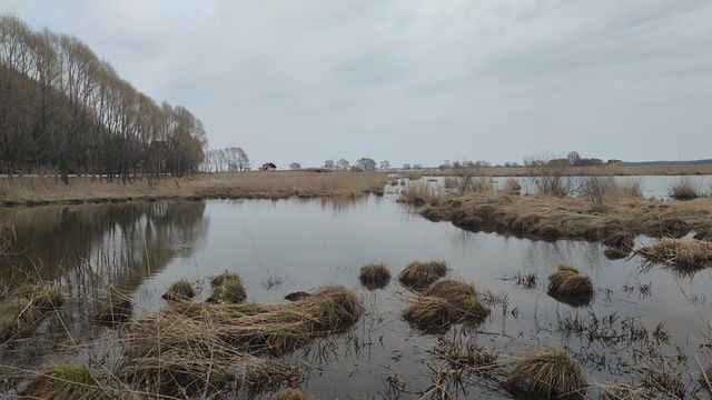 興凱湖（黑龍江雞西）