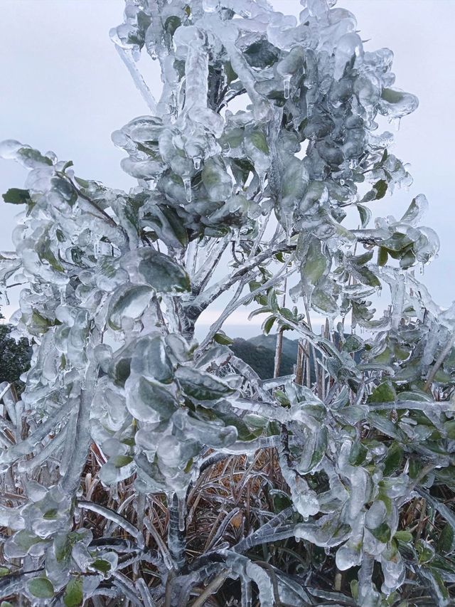 大容山雪冰景