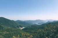 渣甸山及畢拿山・大潭水塘、紅屋半日遊