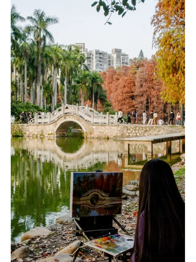 Guangzhou is so beautiful in January, capturing the sunset-lit bald cypress