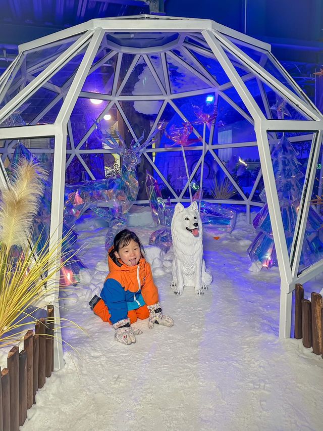 來室內滑雪城體驗冰火兩重天的樂趣吧