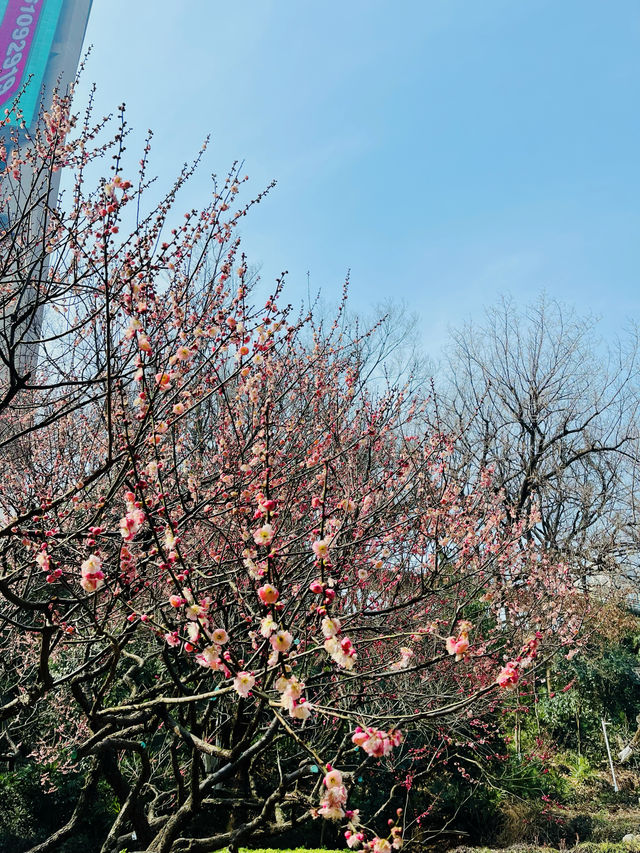 逛逛古林公園