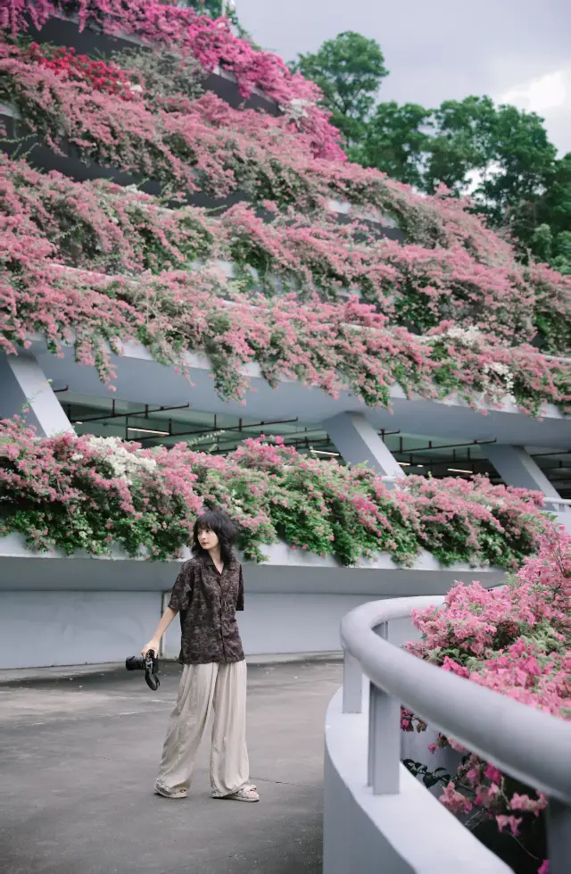 Shenzhen Exclusive|The train station filled with flowers gives a first love Feel!