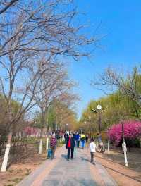 開往春天的小火車｜逛公園遛娃兩不誤！