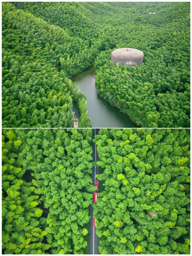 為了穿越竹海的小火車我直接飛去了趟溧陽