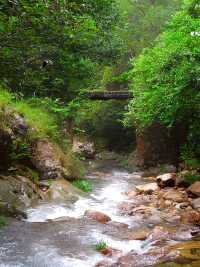 枧潭景區——鄉村風景美如畫，盛夏避暑勝地！