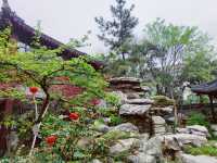 江蘇泰州｜430年歷史的淮左第一園