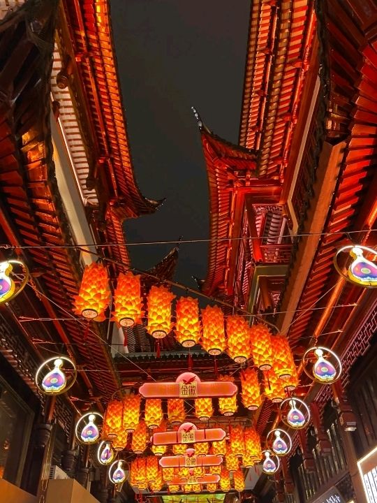 Beautiful Yu Garden in Shanghai✨🌸❤️