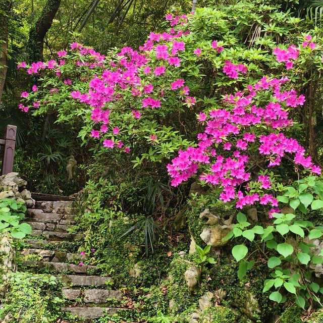 黃石的團城山公園