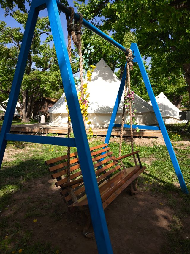 蘭州什川古梨園，週末休閒好去處