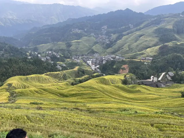 Longji Rice Terraces in Guilin!!!!