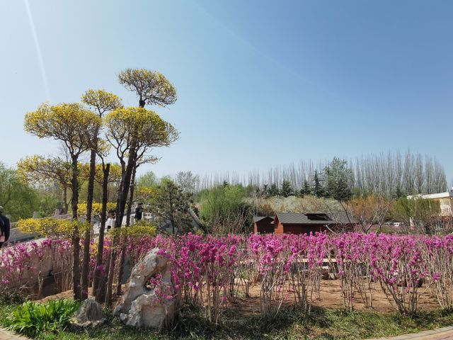 河北省五星公園，絕佳的生態休閒景區