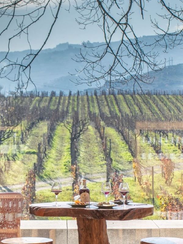 🍷🏨 Vino Views & Plush Stays in Portugal 🌟
