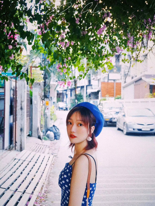清邁春季city walk 賞花好去處適合春季旅行