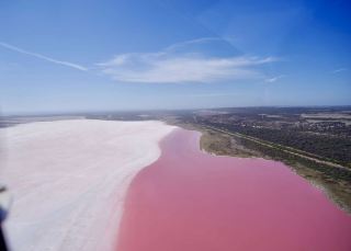 Australia · Geraldton | Pink Lake, Rock Lobster, Pinnacles Desert, Nature's Window, this place holds up 90% of Australia's beauty!