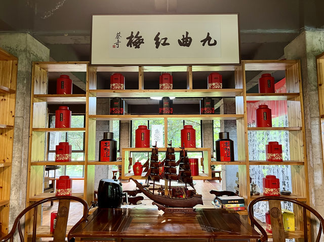 Jiu Qu Hong Mei (Nine Bend Red Plum Tea)