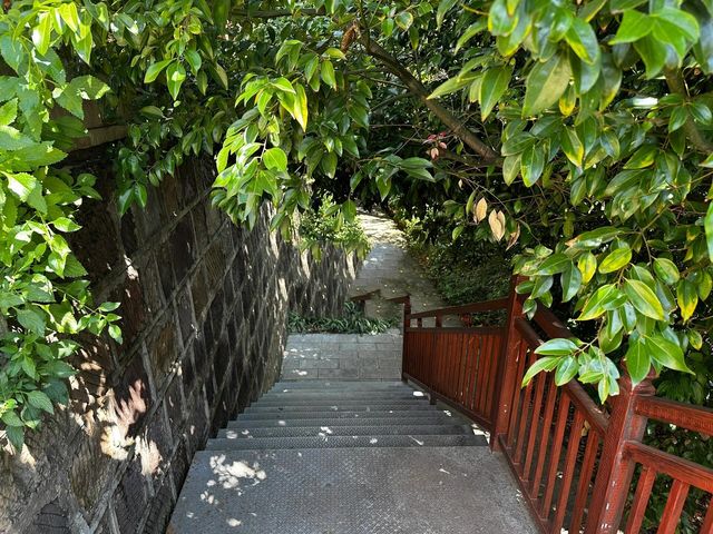 楚雄龍江公園，被睡蓮環繞的休閒好去處