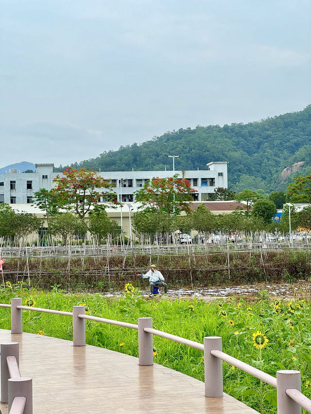 中山50個免費好去處-01 曹邊村