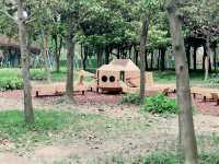 就是我，在38度的高溫裡帶娃去了公園大戶外