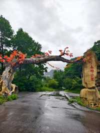 蒲石河森林公園（遼寧省鳳城市，4A）