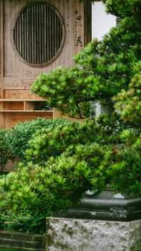 龜齡寺的師父真是造景高手