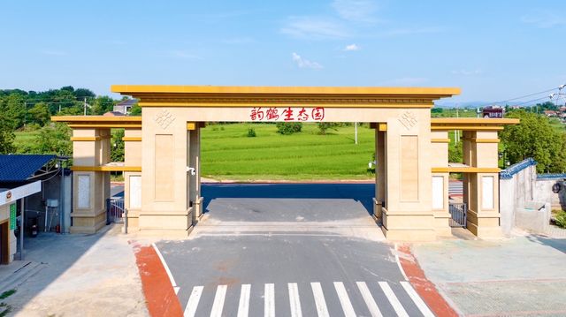 湖北孝昌今夏有動作葡萄採摘等你來玩兒