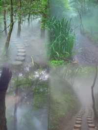 徐州馬陵山｜避暑吸氧還是要去山裡面噢