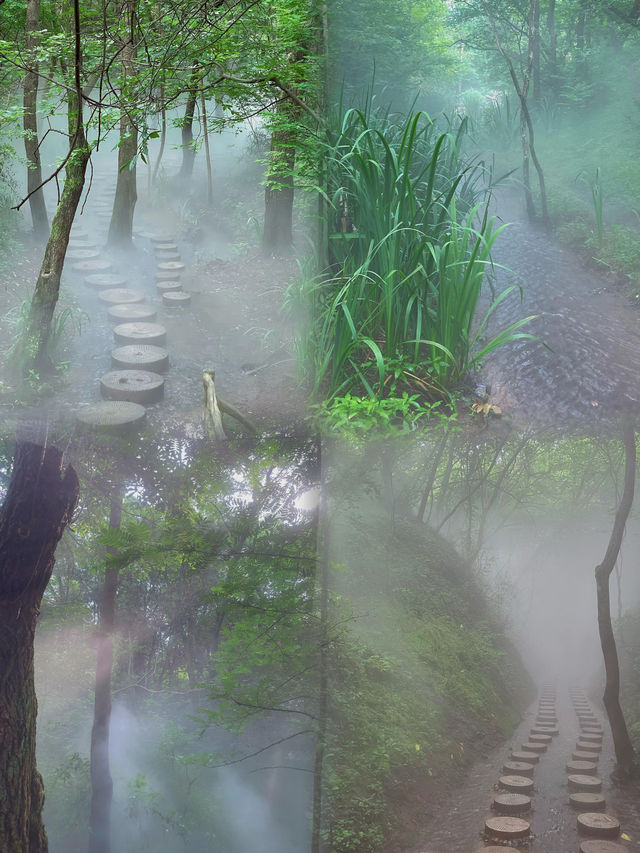 徐州馬陵山｜避暑吸氧還是要去山裡面噢