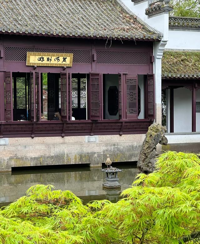 It seems as if I haven't left the country, as I find myself in a Chinese garden in Frankfurt. I am bewildered. 😵
