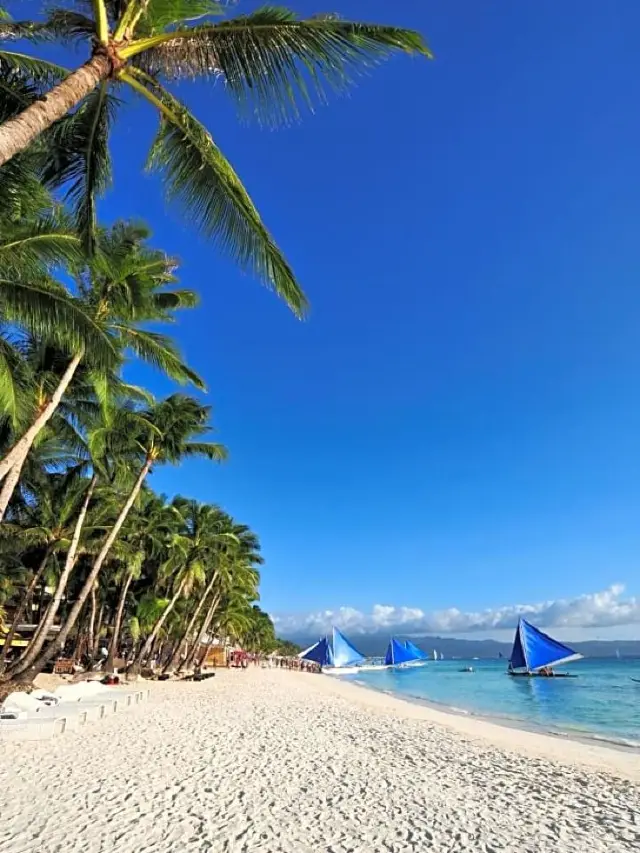 長灘島極樂之旅：頂級海濱住宿！