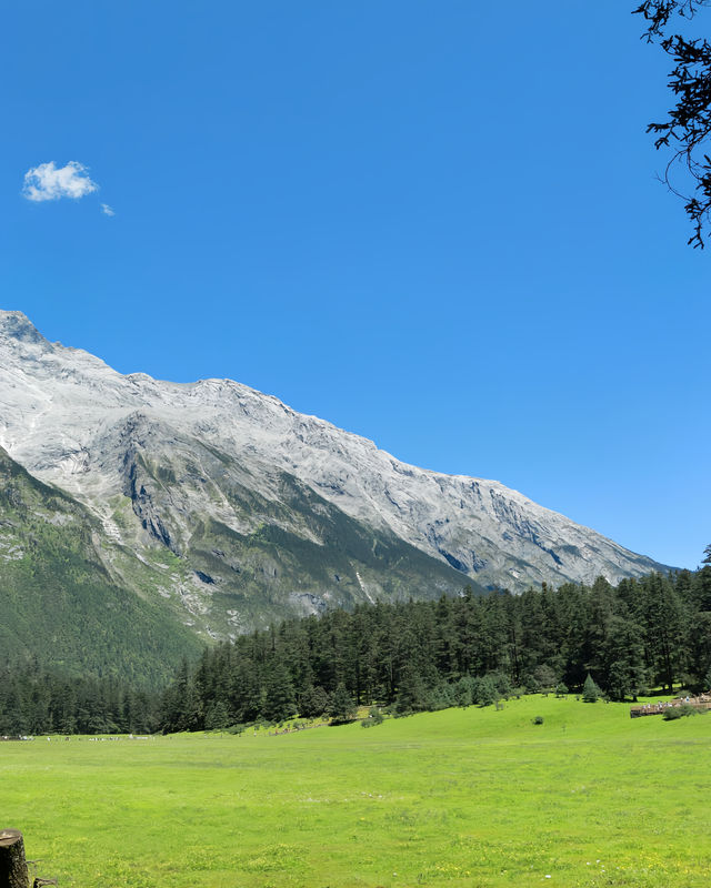 雲杉坪打卡隱藏在玉龍雪山的巨大草坪