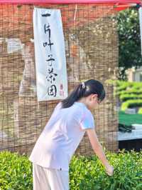 安吉白茶谷