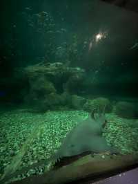 海洋公園實用攻略