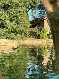 天津|人民公園~免費遛娃好去處。