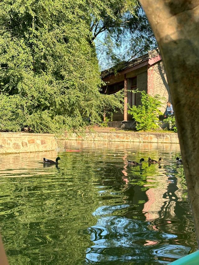 天津|人民公園~免費遛娃好去處。
