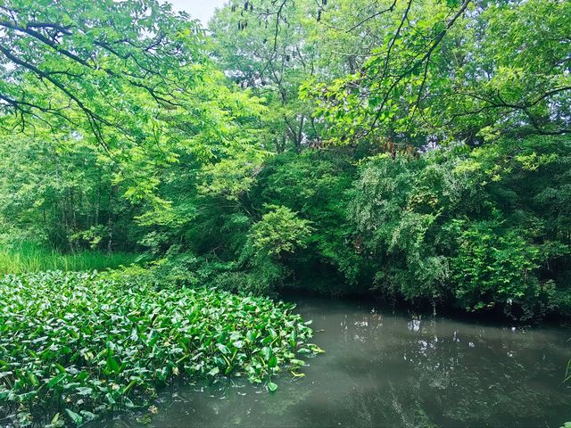 箱根，隨心所遇的旅行日記！