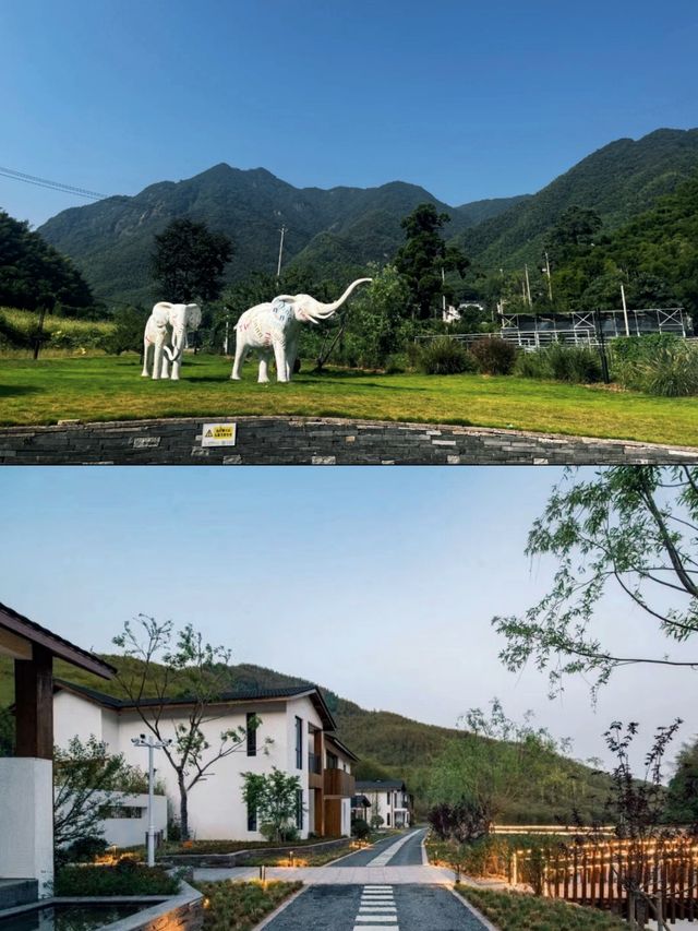 安吉必住民宿遇見竹海中的童話世界。