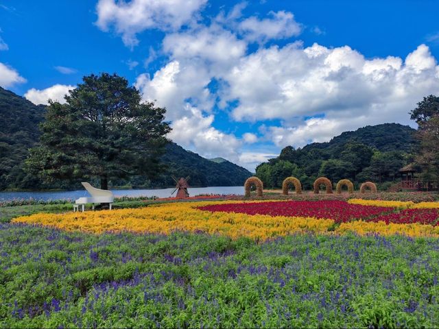 石門山，大自然的詩篇：石門山國家森林公園，探索大自然的神秘之旅。