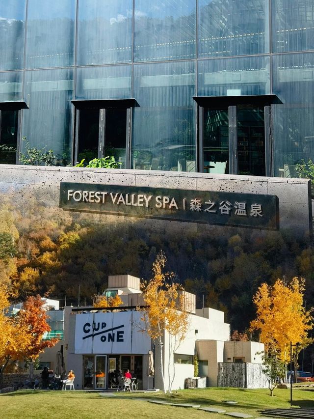 住進自然美景，好夢連連。