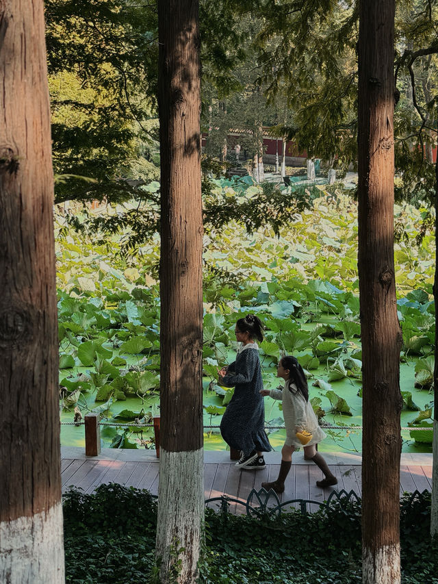 帶孩子在植物園裏撿「垃圾」。