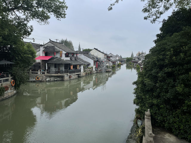 探訪楓涇古鎮：水鄉詩意與細雨交織的慢時光。