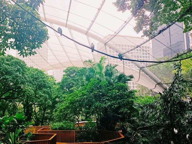Unique Preserve: Adward Youde Aviary