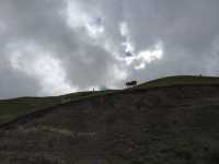 藍天白雲，陽光普照。山花浪漫，河水清清。
