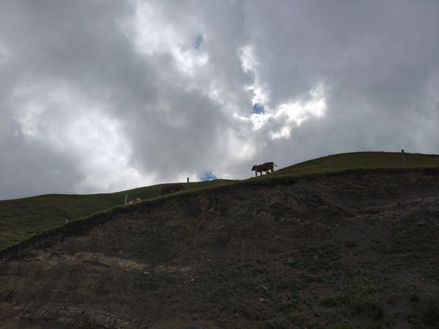 藍天白雲，陽光普照。山花浪漫，河水清清。