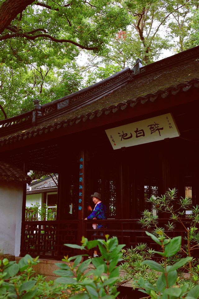 又到了醉白池最美的季節。 又到了醉白池最美的季節。