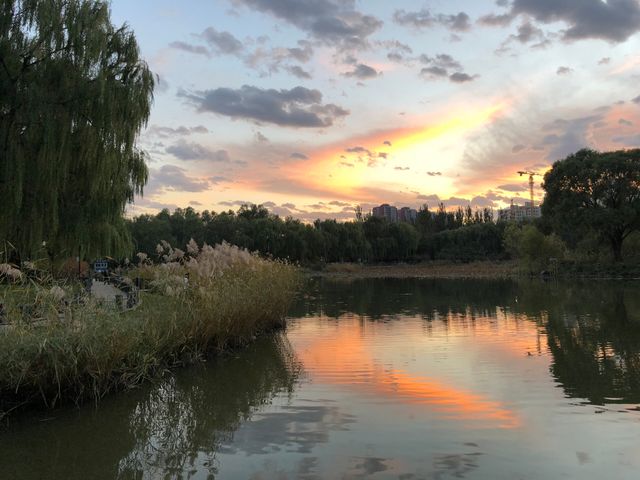 將府公園。