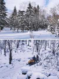 打卡中國雪鄉住進雪韻大街深處的野奢酒店。