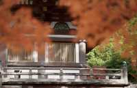 名古屋周邊｜上高地封山也能進噢。