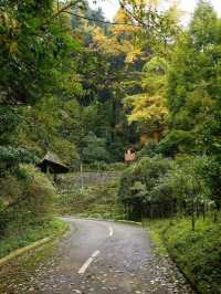 貓貓廟就去開啟行山之旅。