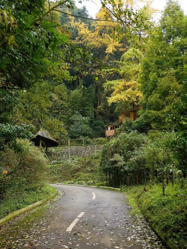 貓貓廟就去開啟行山之旅。